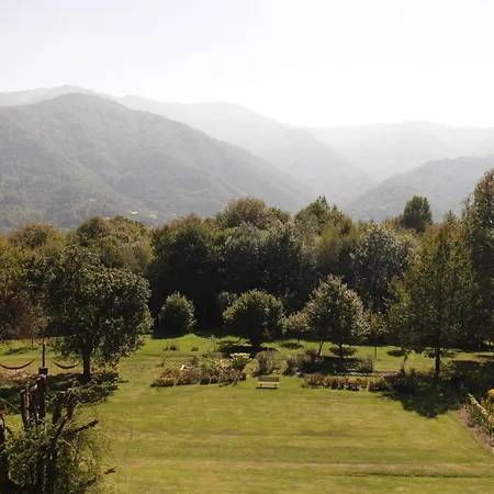 Konukevi La Quiete Di Ileana Sofian *