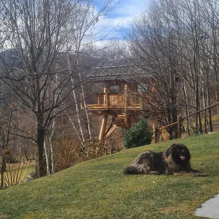 La Quiete Di Ileana Sofian Affittacamere Pamparato