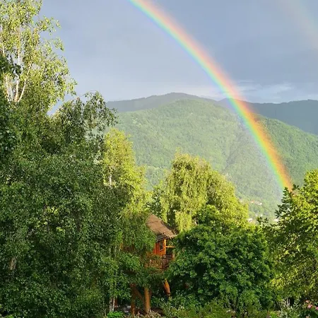 Konukevi La Quiete Di Ileana Sofian *