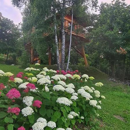 La Quiete Di Ileana Sofian *