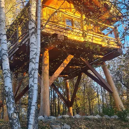 La Quiete Di Ileana Sofian *